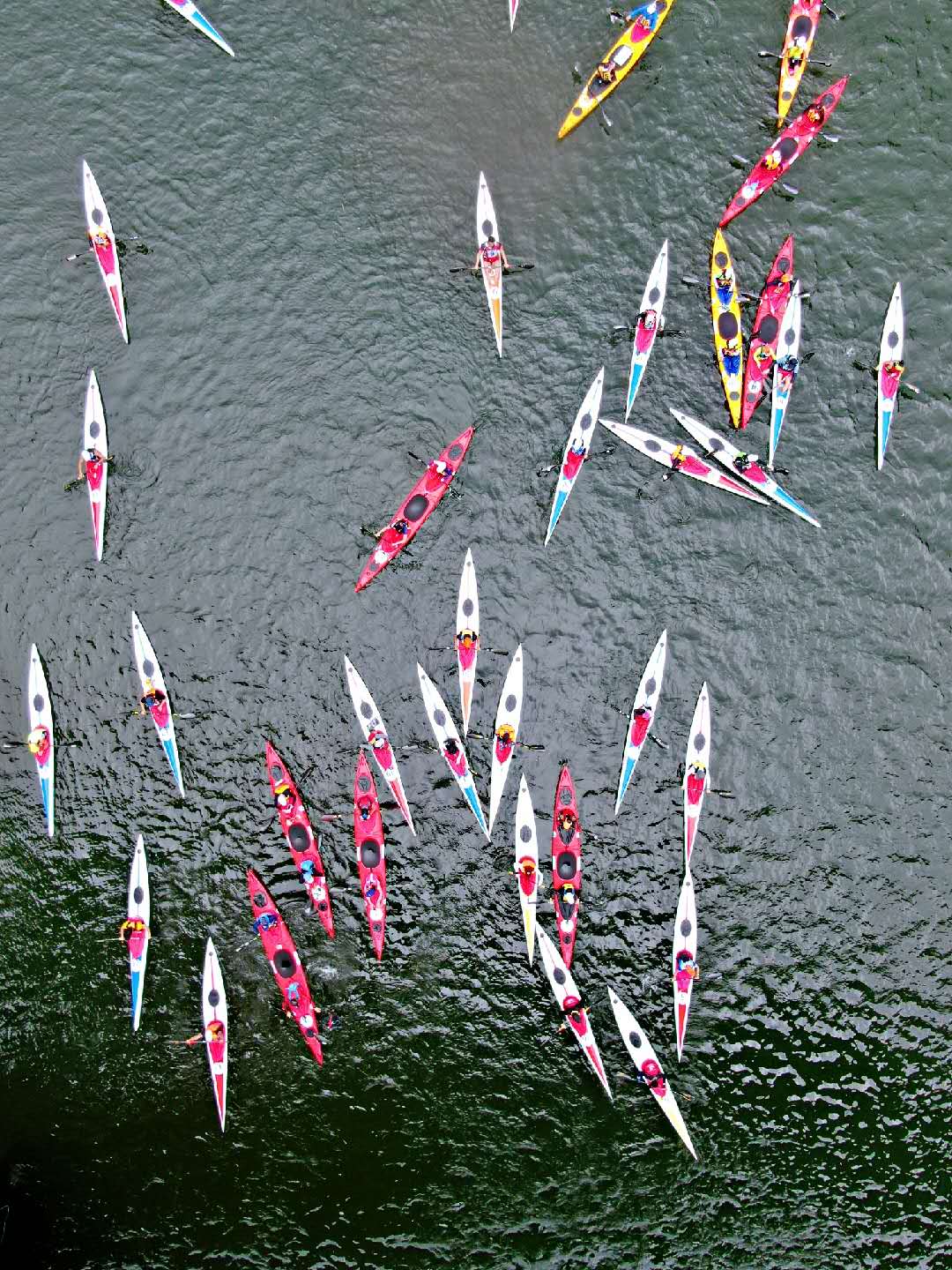 2019年中国千岛湖第二届水上（赛艇、皮划艇）马拉松公开赛上演另一道迷人风景线